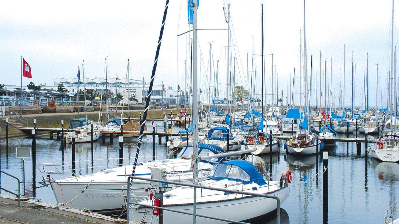 AreaSummer5KM AreaSummer5KM